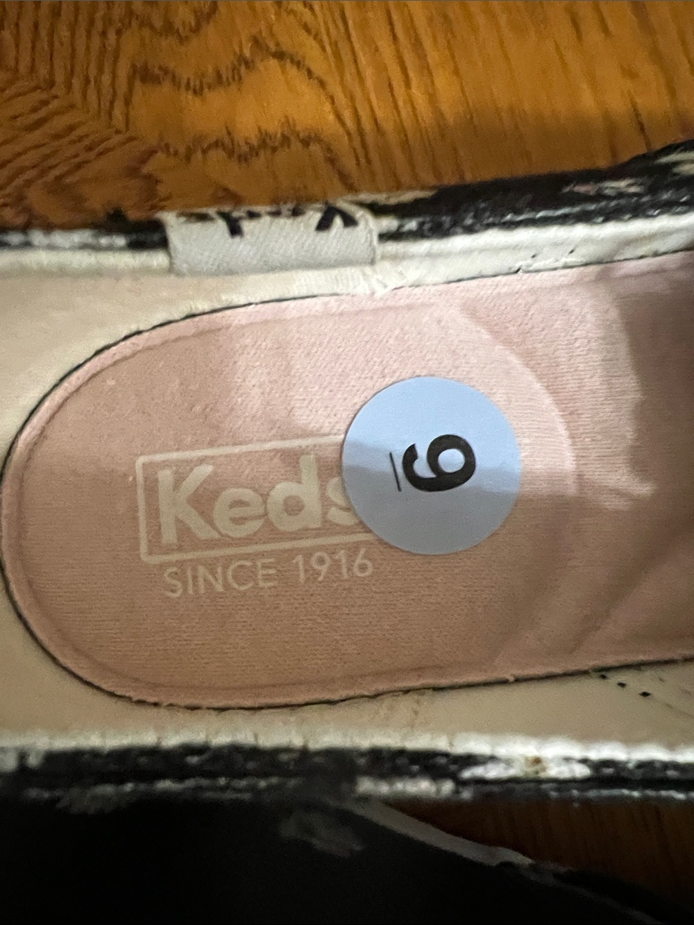 Keds Black Daisy Canvas Sneakers with White Laces - Picture 3 of 8